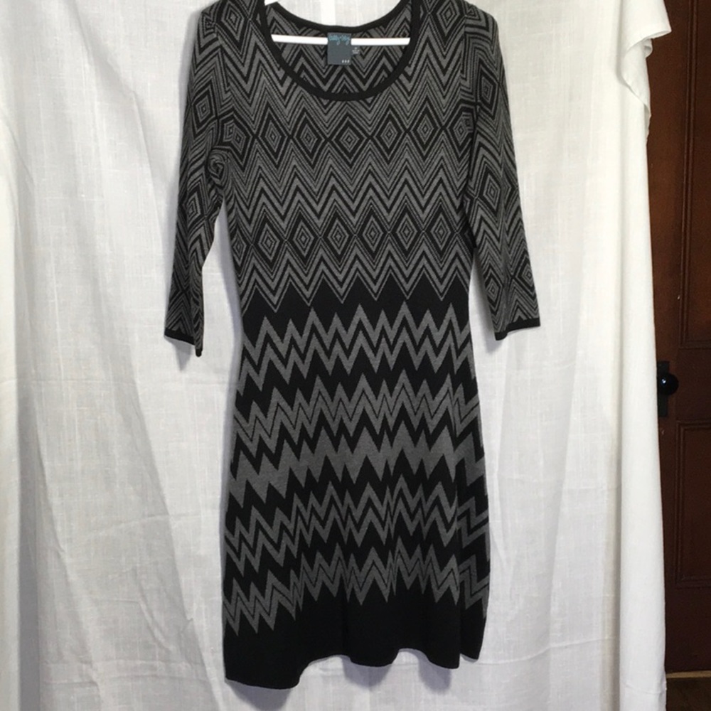 Sweater Dress, new